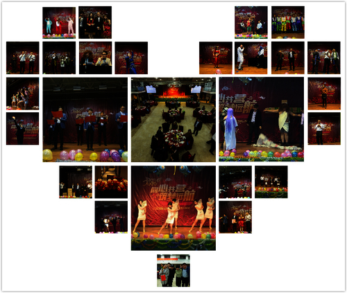 2015年度工作会议暨优秀员工表彰大会、新春晚会 （3）